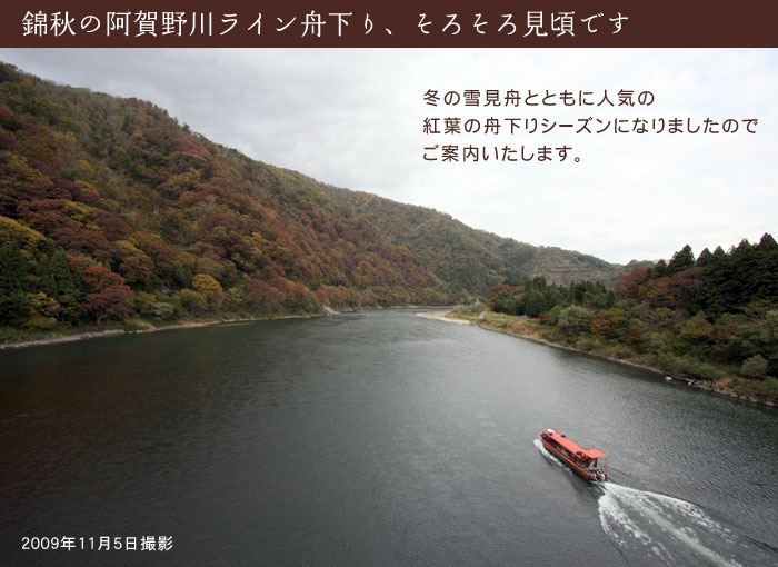 �����색�C���M����