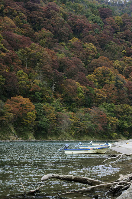 �����색�C���M����