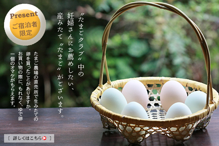 �D�w����ɂ��E�߂������A���݂��Ắg���܂��h���������܂��B