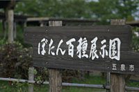 �ڂ���S�팩�{��