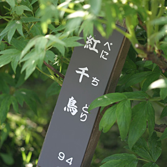 �ڂ���@�g�璹