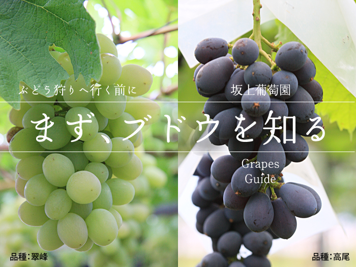 �܂��A�u�h�E��m��