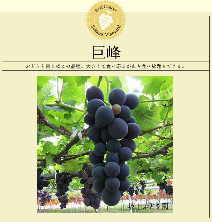 ����̂Ԃǂ���肪�ł��܂�