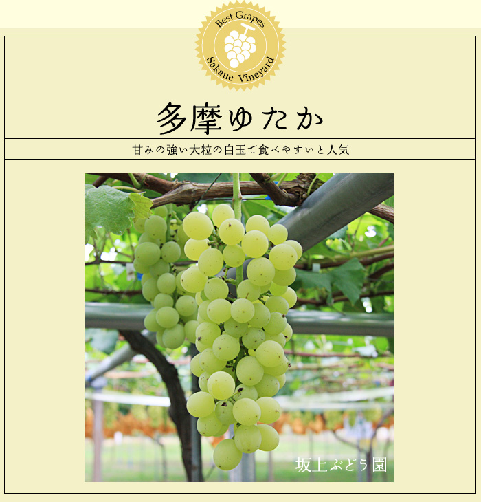 �����䂽��