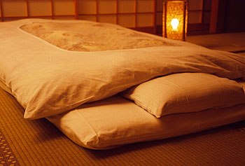 0�΂���̉���f�r���[�@���z�c