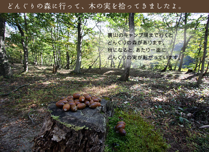 �ǂ񂮂�̐X�L�����v��