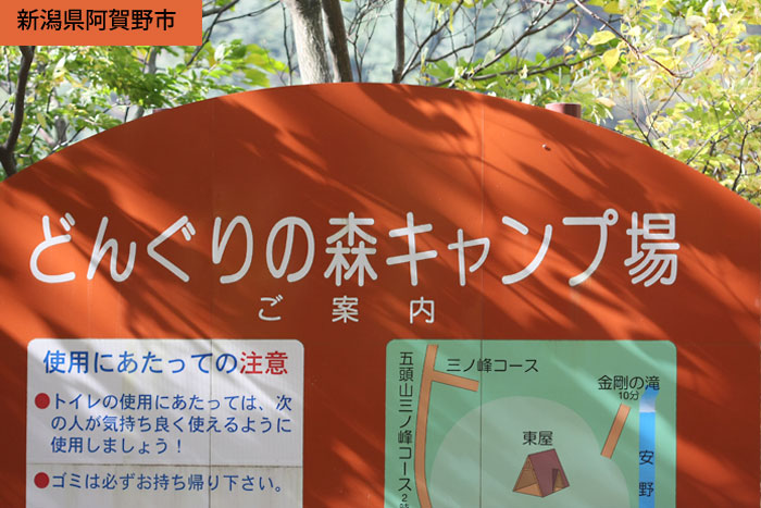 �V���������s�ǂ񂮂�̐X�L�����v��