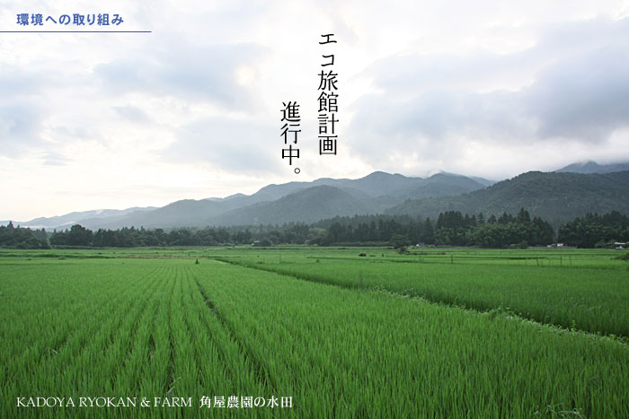 �G�R���ٌv��i�s��