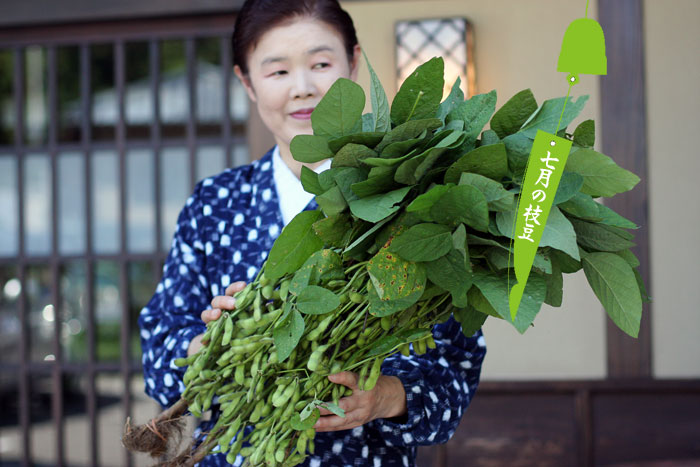 ��������̖�ؑ������Ŕ������}��