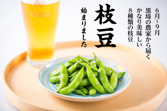 �V���̎}���@�n�܂�܂���