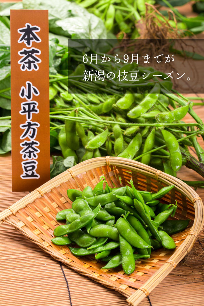 ���钃���@�V���̎}��