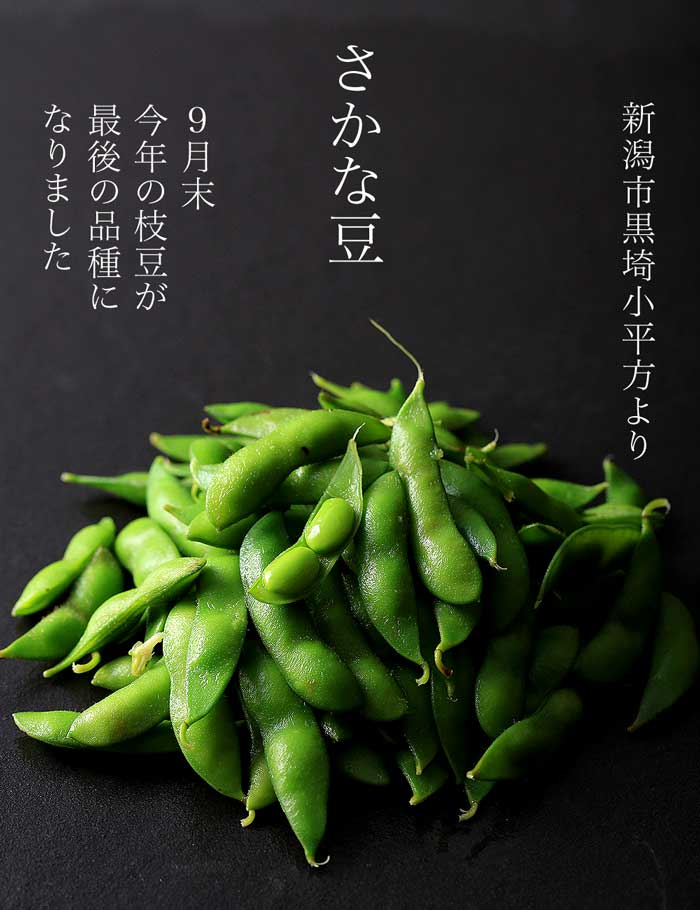 �V���̎}���@�����ȓ�