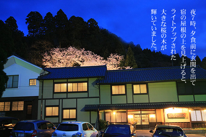 ���������I�V���C�̖��