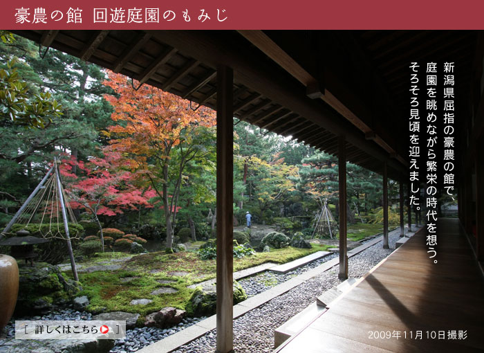 �k������������ ���_�̊� �ɓ��@