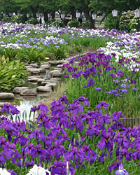 �Z�΂̂���� [�ԏҊ�]