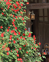 ��{�Ƃ̃o����