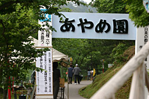 �V���c�s�܏\�����������߉��̓���