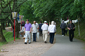 �Δȉ����̓�������Ă䂭