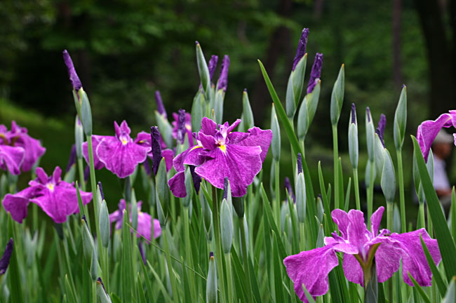 ����߉��̂Ȃ��Ŏ����𗎂Ƃ��Ă݂�