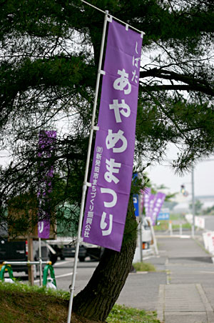 ����߂܂�̃m�{��