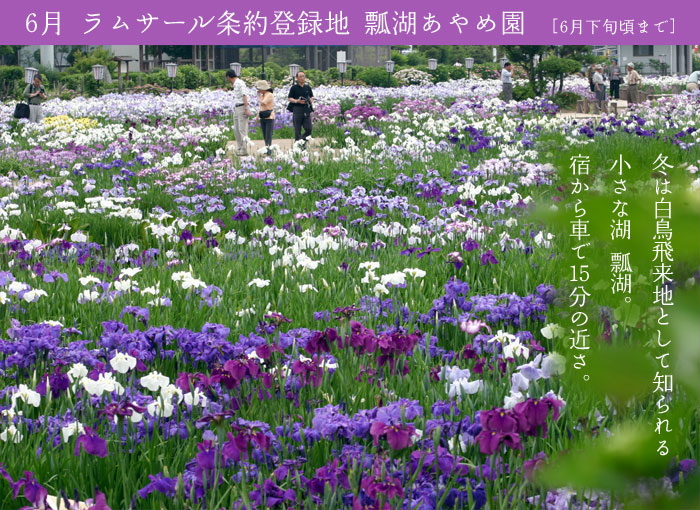 �Z�΂���߉�