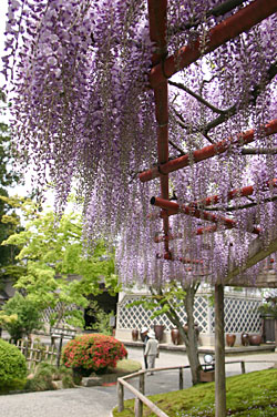 ����150�N�̓��I�̉��Ōe��