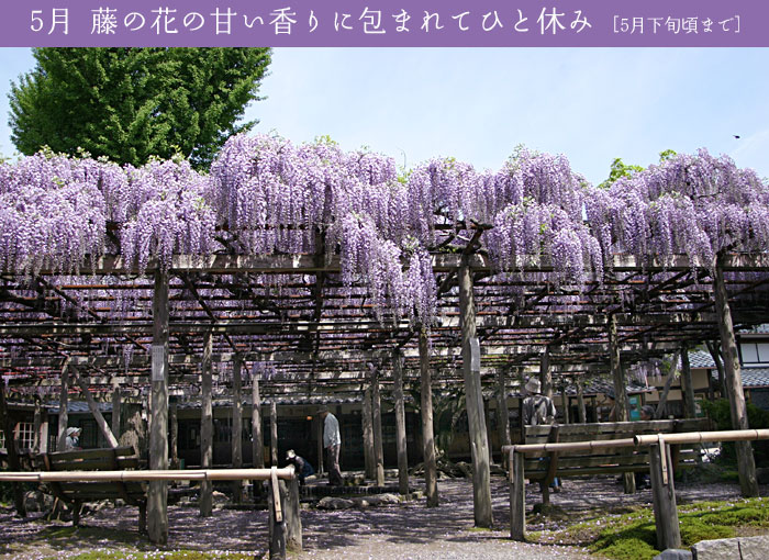 �k�����������ٍ��_�̊ق̑員