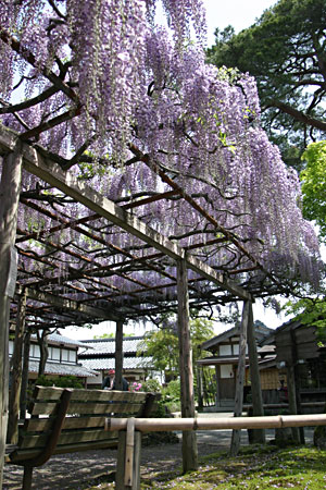 ���I���疡�X����]��