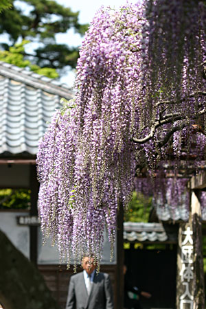 �k�����������ق̓��̉Ԃ́A������̂悢�ꏊ�ɂ���