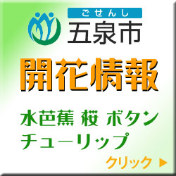 �ܐ�s�J�ԏ��