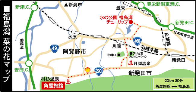 �������@�؂̉ԃ}�b�v