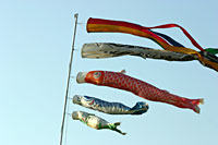 ���N��̂ڂ肪�j���܂�