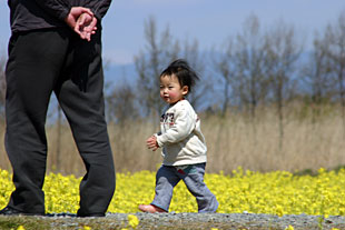 �������̍؂̉�