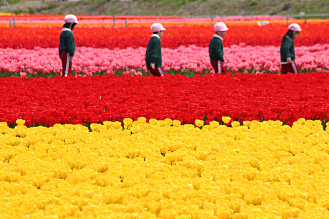 �ܐ�s��{���̃`���[���b�v