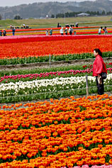 �ܐ�s��{���̃`���[���b�v