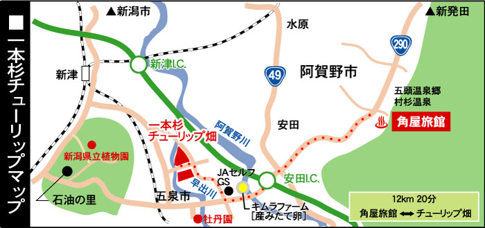 �V�����ܐ�s��{���`���[���b�v�@�}�b�v