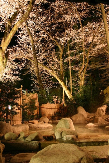 �Ԍ��I�V���C