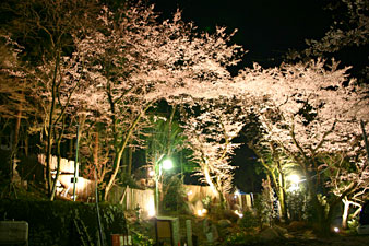 �����I�V���C�̖�����C�g�A�b�v