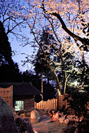 �[��ꎞ�̑����I�V���C�̍�