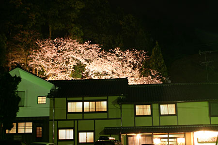 �p�����ق̂������̖�����C�g�A�b�v