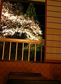 �����̑����璭�߂���