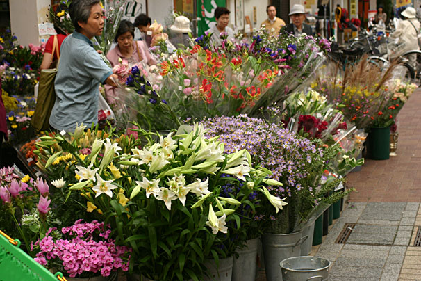 花や さくらこまち