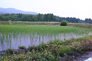 �z�^�������闢�R�Ƃ�