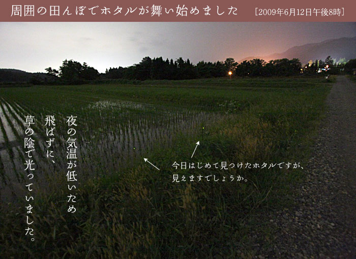 6��13���@���͂̓c��ڂŌu�������n�߂܂���