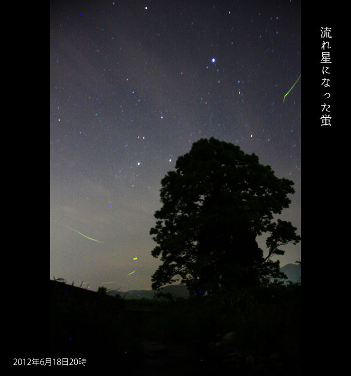 ���ꐯ�ɂȂ����u