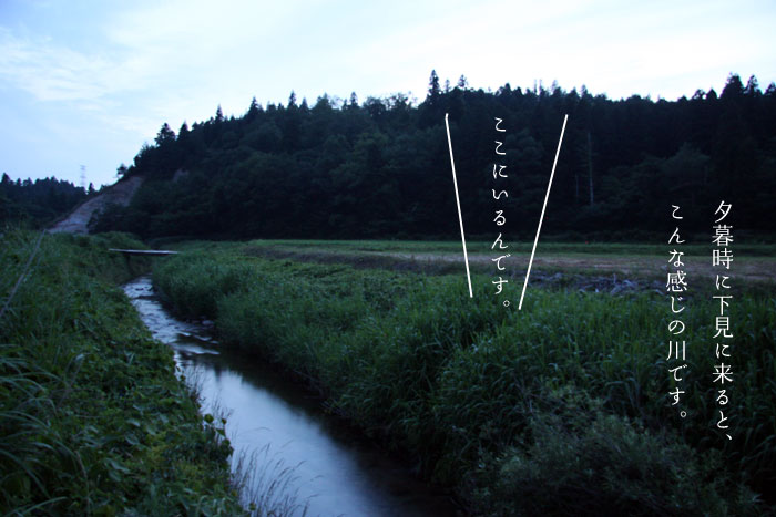 �z�^���̐�