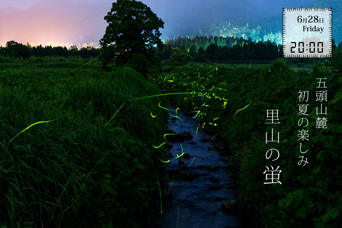 �V���������s�ܓ��R�[�@�z�^���Ϗ�