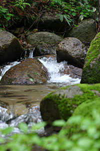 �u�̊��͂��ꂢ�Ȑ�����