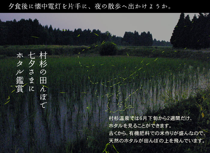 �����̓c��ڂŃz�^���ӏ�