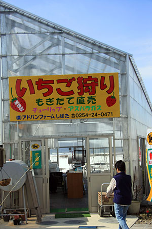 �A�h�o���t�@�[�����΂��@���������n�E�X